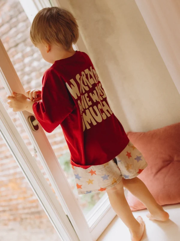 T-shirt skrzydła Domka Skotarek